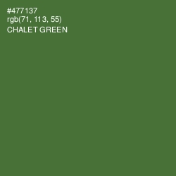 #477137 - Chalet Green Color Image